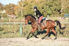 France-Landes-Jump & Trail in the Landes